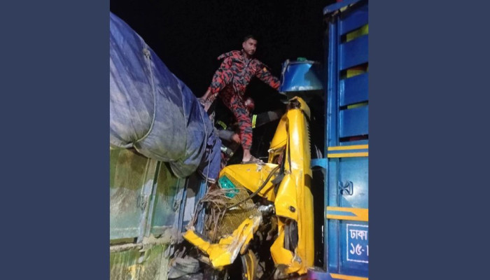 ঘোড়াঘাটে দাঁড়িয়ে থাকা ট্রাকে ধাক্কা, ট্রাক সহকারী নিহত