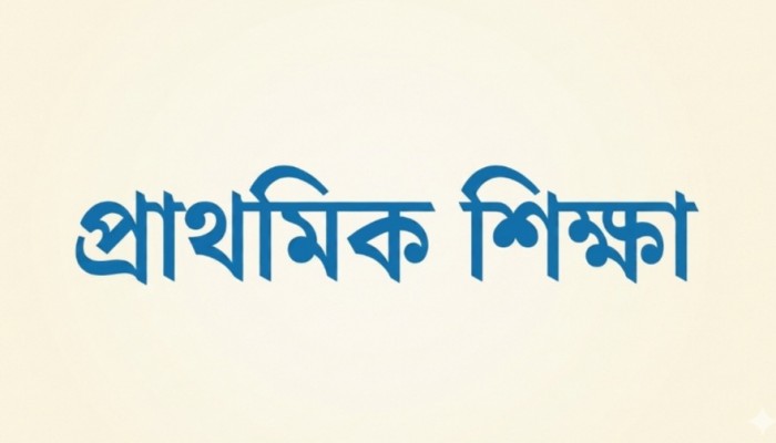 প্রাথমিক শিক্ষায় প্রয়োজন বাস্তবমুখী সংস্কার