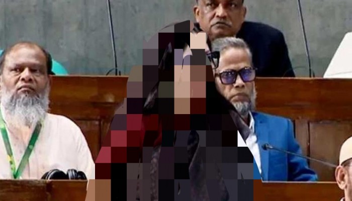 সরকারের প্রথম ১০০ দিনে অপরাধের গ্রাফ আকাশচুম্বী: সংসদে রুমিন ফারহানার ক্ষোভ