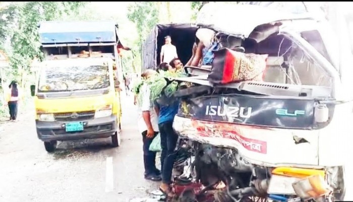 মাদারীপুরে পত্রিকাবাহী পিকাপ-ট্রাক সংঘর্ষে নিহত ১, আহত ৫